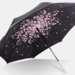 مظلة بقيادة