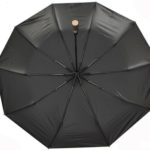 10 ribs umbrella