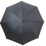 Double Canopy Umbrella - Cloud Design