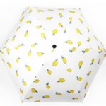 fünf faltbare Regenschirme