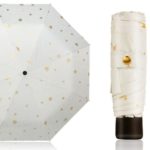 tragbarer Mini-Regenschirm