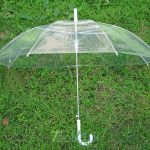 clear-dome-umbrella