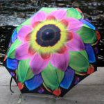 normal_petal-pretty-umbrella