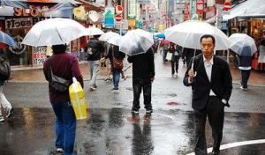 Transparent umbrella