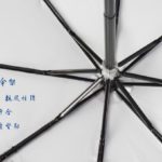 Chinesischer Pfingstrosenmaler-Meister-Wassermalerei-Regenschirm zu verkaufen