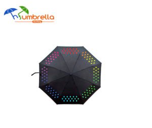 Color Changing Umbrella