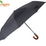 Auto Open&close Wind-resistant Folding Umbrella Wholesale