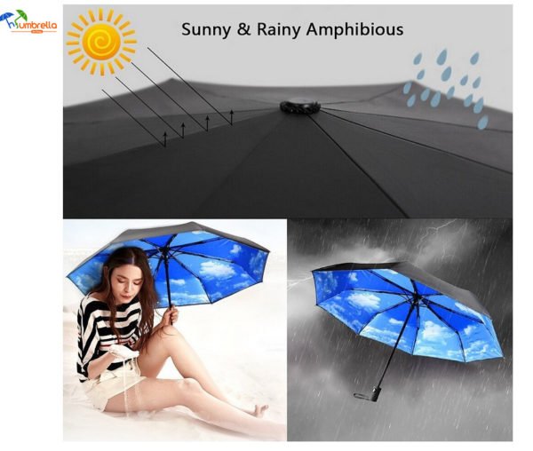 Compact Travel Folding Umbrella for Women and Men