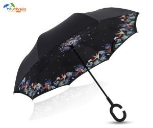 Custom Umbrella Printing