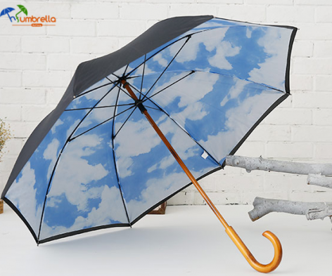 Blue-Sky-Umbrella