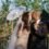 Tips For Buying Custom Wedding Umbrellas