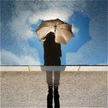 Best Umbrella for Your Needs Umbrella Guide