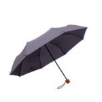 bester Klappschirm mit Holzgriff