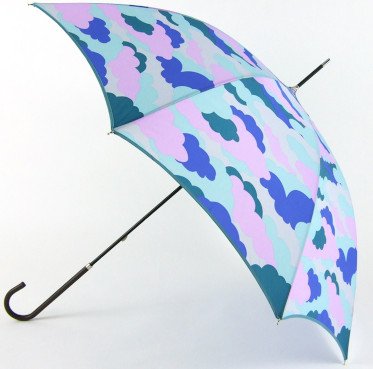 rain-umbrella