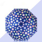 Taschenschirm mit automatischem Farbwechsel