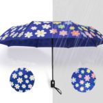 Regenschirm mit Farbwechsel