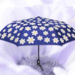 individueller Regenschirm mit Farbwechsel