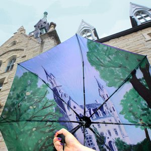 northwestern university umbrella