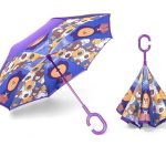 Kids Reverse Umbrella Gift
