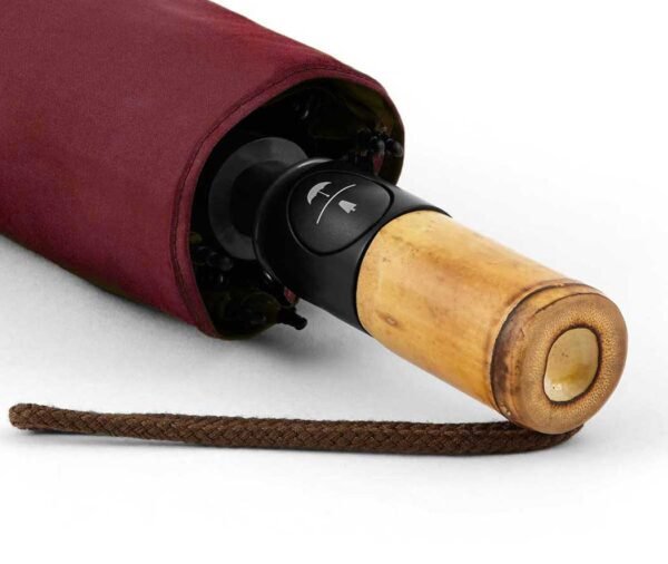 Auto open and close folding umbrella