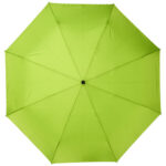 eco friendly RPET Umbrella (2)