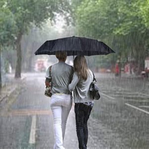 Travel Umbrella Windproof6