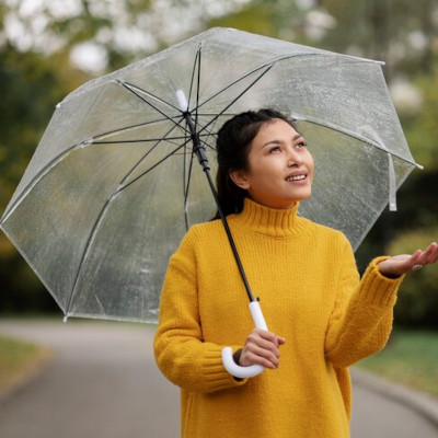 How to choose the perfect travel umbrella for your needs?