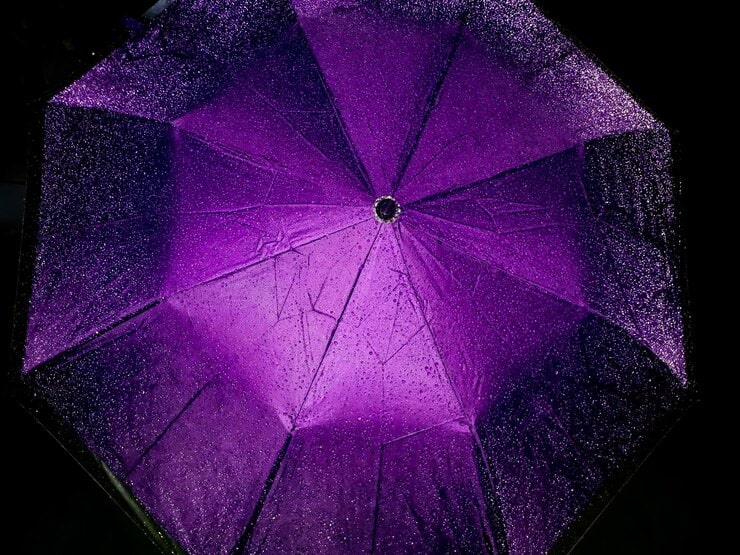 Бюджетные соображения