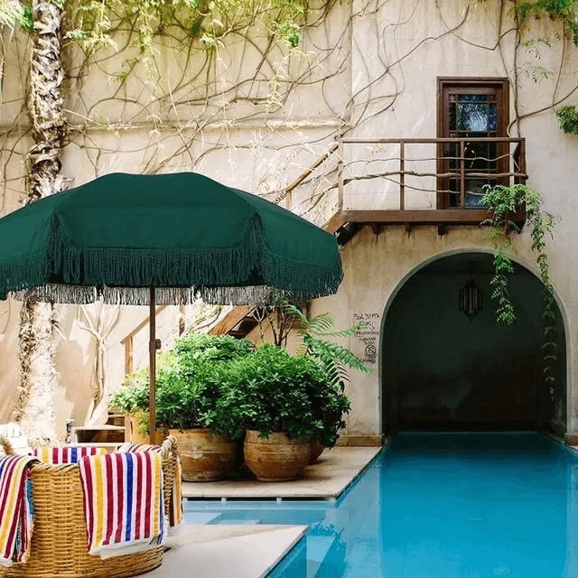 зонтичные кости