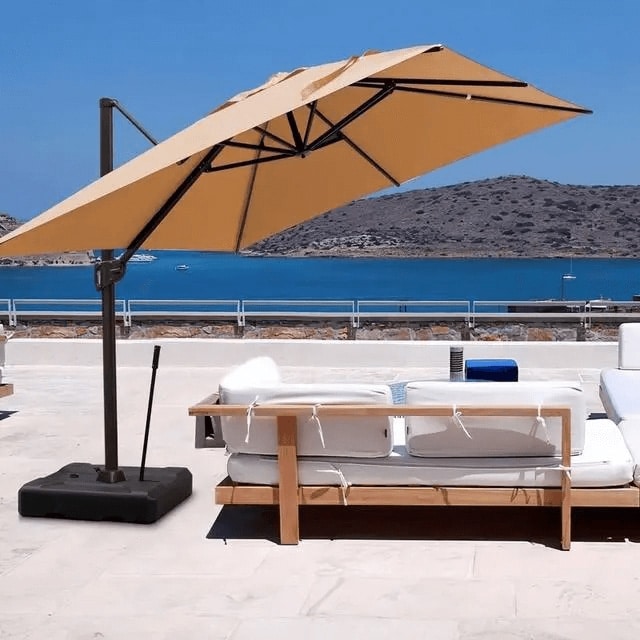 зонтичные кости