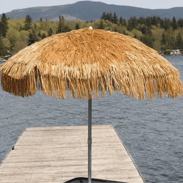 зонтичные кости