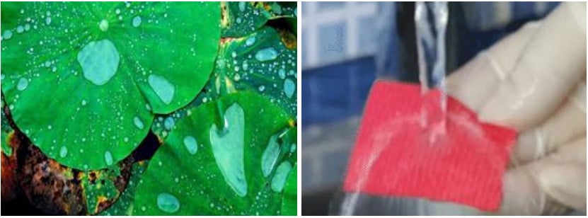 Водоотталкивающий