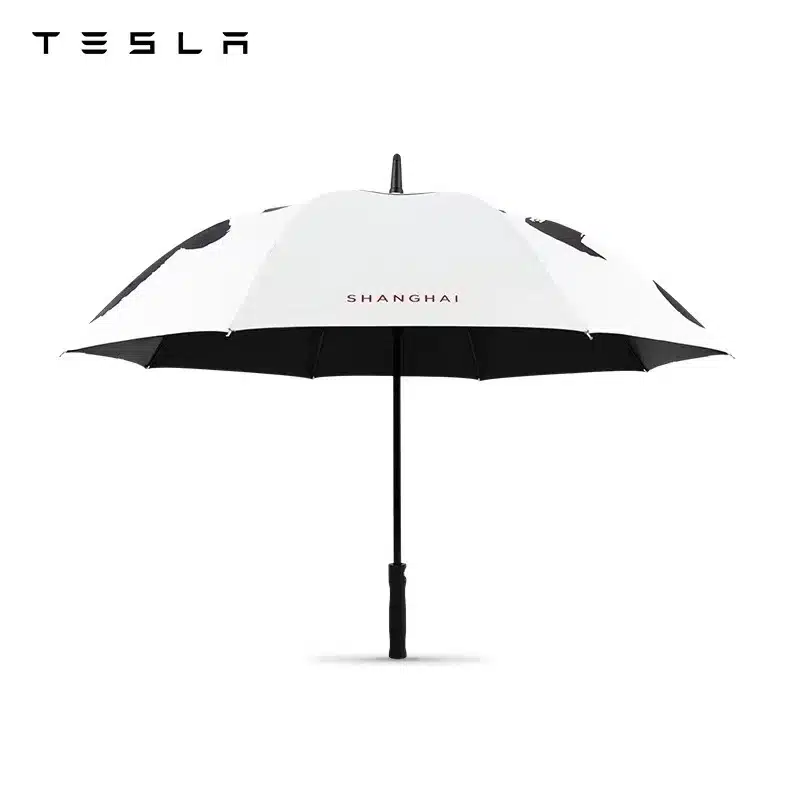 Casestudie om Brand Tesla Paraply