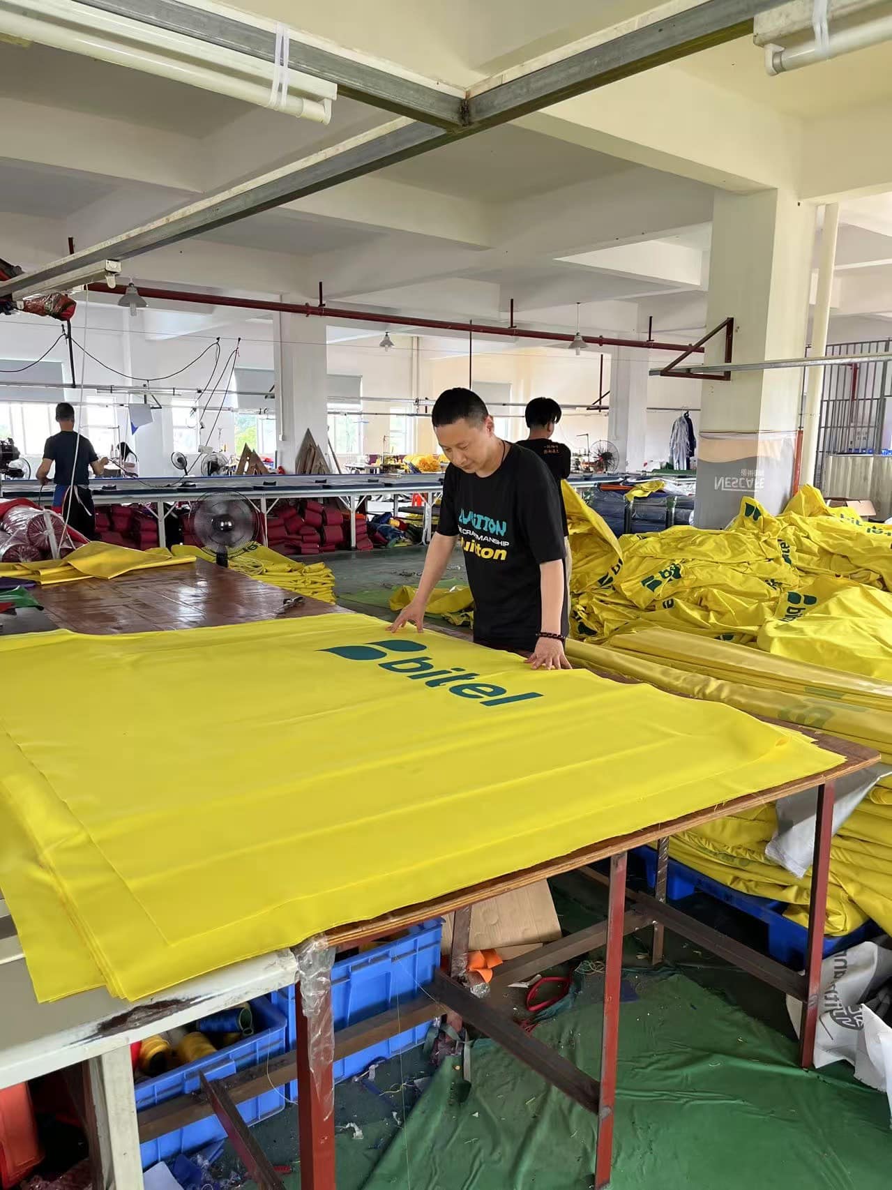 Action Before Plans Take Root