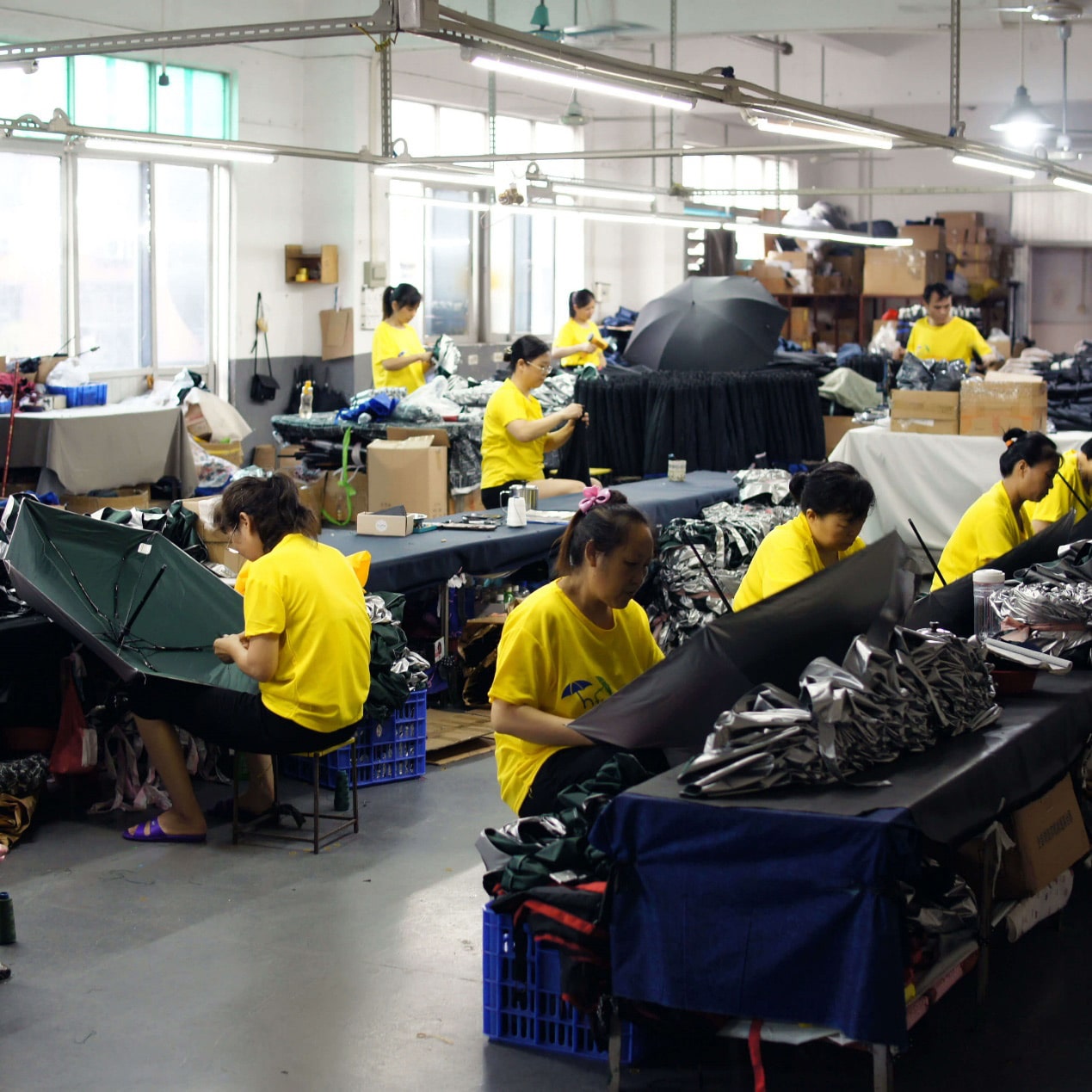 Success for the umbrella factory