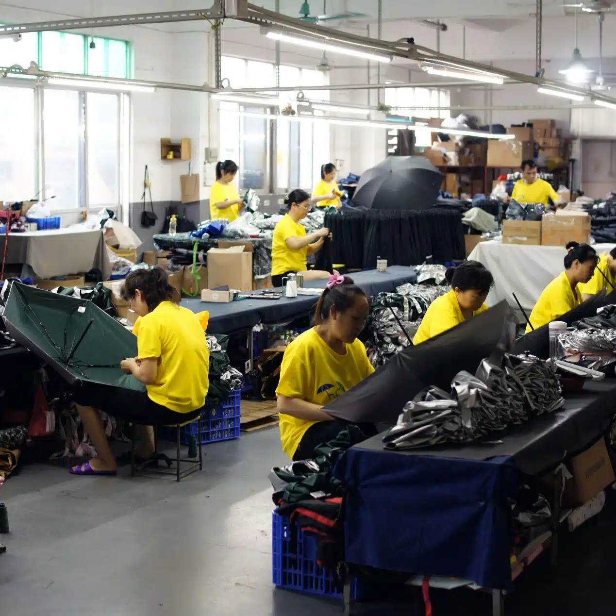 Succès pour l'usine de parapluies