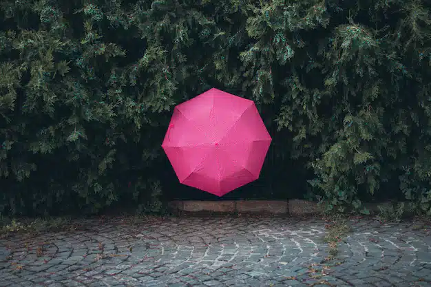 Зонт с дизайном