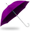  Events & Promotions