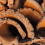 How HF Umbrella Manufactures Custom Cork Umbrellas